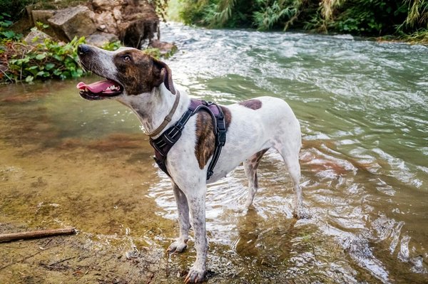 What Are the Best Practices for Mitigating the Risk in Speculative Real Estate Development?