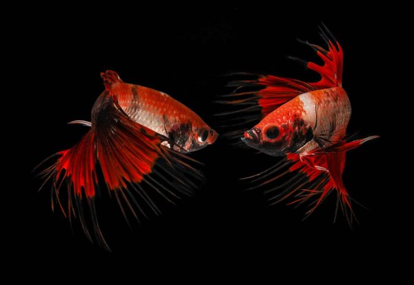 How Is Digital Twin Technology Being Applied to UK's Urban Planning?